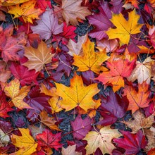 Seamless pattern of maple leaves scattered on the ground AI generated