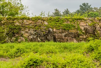 Ivy growing on remains of Japanese stone fortress in Suncheon, South Korea, Asia