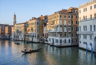 Evening atmosphere on the Grand Canal with gondoliers, view from the Rialto Bridge, Venice, Veneto,