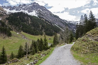 Hiking trail, behind Geisshorn, Gemsteltal, Mittelberg, Kleinwalsertal, Vorarlberg, Allgaeu Alps,