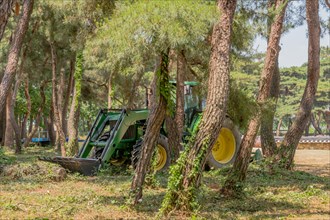 Green tractor with yellow wheels parked in shade of grove of trees in South Korea