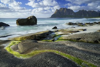 Seascape on the beach at Uttakleiv (Utakleiv), rocks and green algae in the foreground. In the