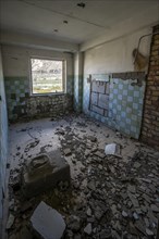 Abandoned ruined room with fallen tiles, ghost town, Engilchek, Tian Shan, Kyrgyzstan, Asia