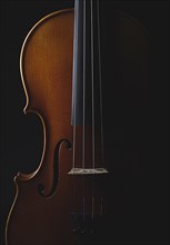 A violin shimmering in the subdued light, the details emphasise the elegance of the instrument