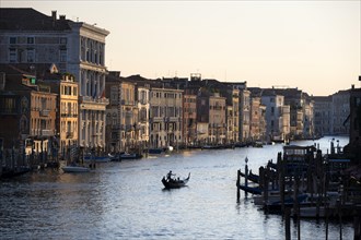 View over the Grand Canal with gondoliers in the evening light, from the Rialto Bridge, Venice,