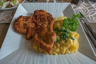 Baked pork chop with potato salad served in a pub, Franconia, Bavaria, Germany, Europe