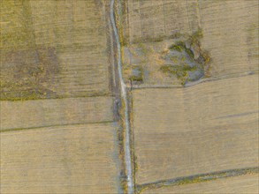 Field path between harvested fields, aerial view, Toktogul, Kyrgyzstan, Asia