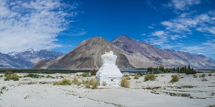 Tschoerten near Hunder, Nubra Valley, Ladakh, Jammu and Kashmir, Indian Himalayas, North India,