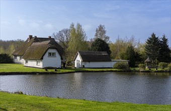 Holiday homes by a small pond, Binz, Ruegen, Mecklenburg-Vorpommern, Germany, Europe