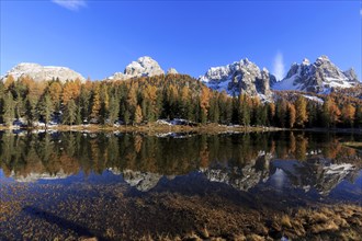 The colourful scenery of an autumnal forest next to a mirror-smooth lake in the sunlight, Italy,