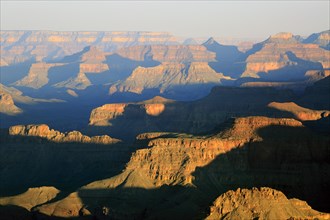In the golden hour, the light illuminates the plateaus of the Grand Canyon, Grand Canyon National