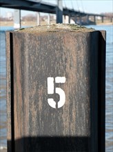 Vintage number 5, digit, anniversary, birthday, North Rhine-Westphalia, Germany, Europe