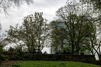 View from the Hofgarten to the Dreischeibenhaus, Duesseldorf, North Rhine-Westphalia, Germany,