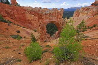 A large natural rock arch surrounded by green vegetation, Bryce Canyon National Park, North