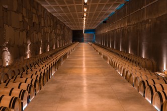 Oak barrels for wine aging in an underground cellar in Vale dos Vinhedos