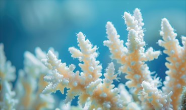 Coral bleaching due to pollution and rising sea temperatures AI generated