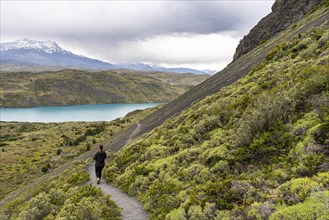 Young woman hikes to Toro lake lookout, Torres de Paine, Magallanes and Chilean Antarctica, Chile,