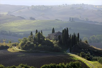 A lonely house surrounded by Cypress trees on a hill in Tuscany in the morning light, Italy,