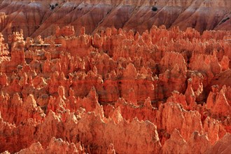 Red glowing rock structures in contrast to dark shadows, Bryce Canyon National Park, North America,