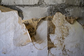 Remains of an old newspaper as wallpaper on a wall, abandoned ghost town of Engilchek, Tian Shan,