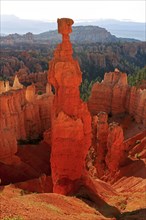 A striking hoodoo towers over a formation of rock towers, Thor's hammer, Bryce Canyon National