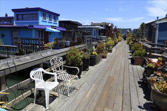 Colourful residential boats on a sunny day, flanked by a wooden path and plants, San Francisco,