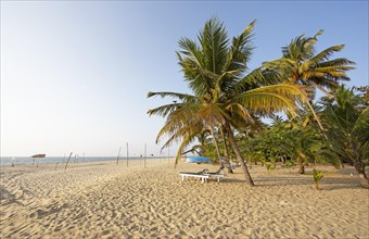 Evening atmosphere at Marari Beach, Mararikulam, Alappuzha district, Kerala, India, Asia