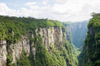 Beautiful landscape of Itaimbezinho Canyon and green rainforest, Cambara do Sul, Rio Grande do Sul,