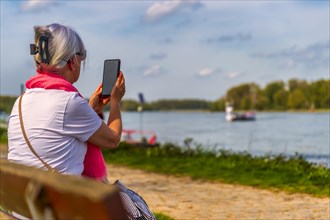 Senior, sitting, bench, photograph, ferry, Rhine, bank, summer, Zons, North Rhine-Westphalia,