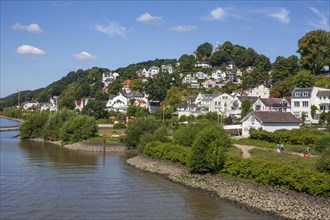 Suellberg with Elbufer with villas and residential buildings, Blankenese district, Hamburg,