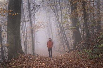 A woman goes for a walk in autumn forest. The woman can be seen from the front. A forest path in a