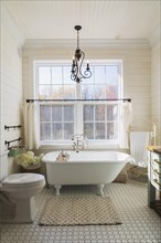 White toilet, freestanding claw foot bathtub and green antique finish pine wood vanity with rustic