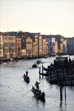 View over the Grand Canal with gondoliers in the evening light, from the Rialto Bridge, Venice,