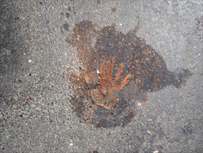 Handprint on the asphalt, after removal of a climate sticker, Leoben, Styria, Austria, Europe