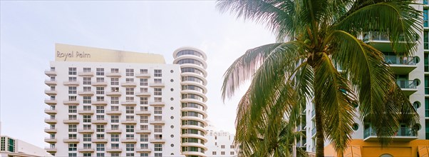Royal Palm South Beach Miami, Umbrella and beach bed renting, Miami Beach, Florida, USA, North