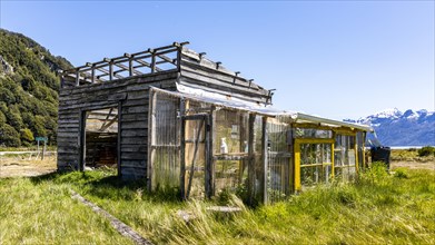 Homemade greenhouse, Estancia Caleta Maria, Routa Y-85, Timaukel, Tierra del Fuego, Magallanes and