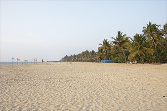 Marari Beach or Beach, Mararikulam, Alappuzha District, Kerala, India, Asia
