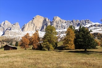 Snow on rocky peaks behind a meadow with a wooden hut in autumn, Italy, Alto Adige, Bolzano