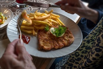 Pork schnitzel with French fries served in a pub, Franconia, Bavaria, Germany, Europe