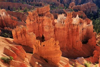 A panorama of rock formations in warm light with strong shadow play on the hoodoos, Bryce Canyon