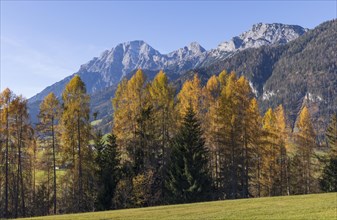 Landscape panorama, Pinzgau, Autumn