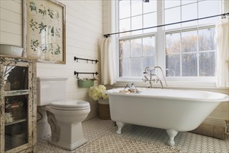 White toilet, freestanding claw foot bathtub and distressed green antique finish pine wood cabinet