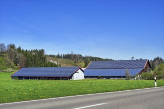 Barns with solar roofs, Allgaeu, Swabia, Bavaria, Germany, Europe