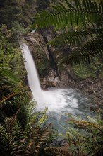 Padre Garcia Falls, Carretera Austral, Cisnes, Aysen, Chile, South America