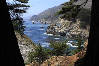 View through trees to a rugged coastal landscape with clear sky, Big Sur Pfeiffer, US 1, North