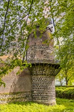 Historic windmill, part of an old city wall, behind trees in the sunshine, historic fortress Zons,