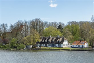 Church, thatched roof houses, trees, Sieseby, Schlei, Schleswig-Holstein, Germany, Europe