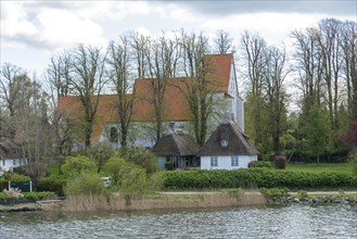 Church, thatched roof houses, trees, Sieseby, Schlei, Schleswig-Holstein, Germany, Europe