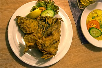 Baked Common carp served in an inn, Franconia, Bavaria, Germany, Europe