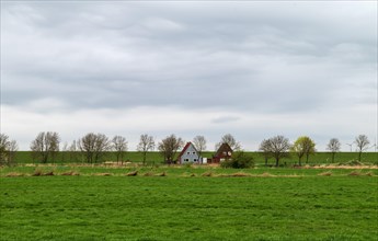 Two lonely houses between Ditzum and Pogum, view in north direction, behind Emsdeich, municipality